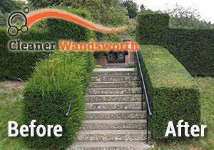 Before and After Hedge Trimming