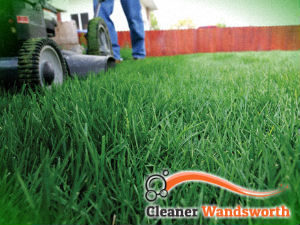 grass-cutting-services-wandsworth
