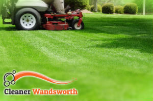 grass-cutting-wandsworth